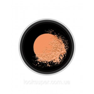  Рассыпчатая пудра MAC Studio fix perfecting powder